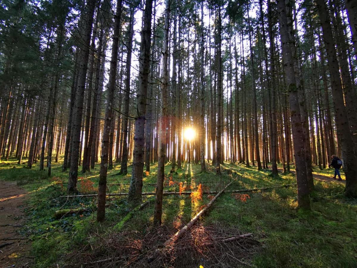 Landhotel Haeuserl Im Wald Grobming Extérieur photo